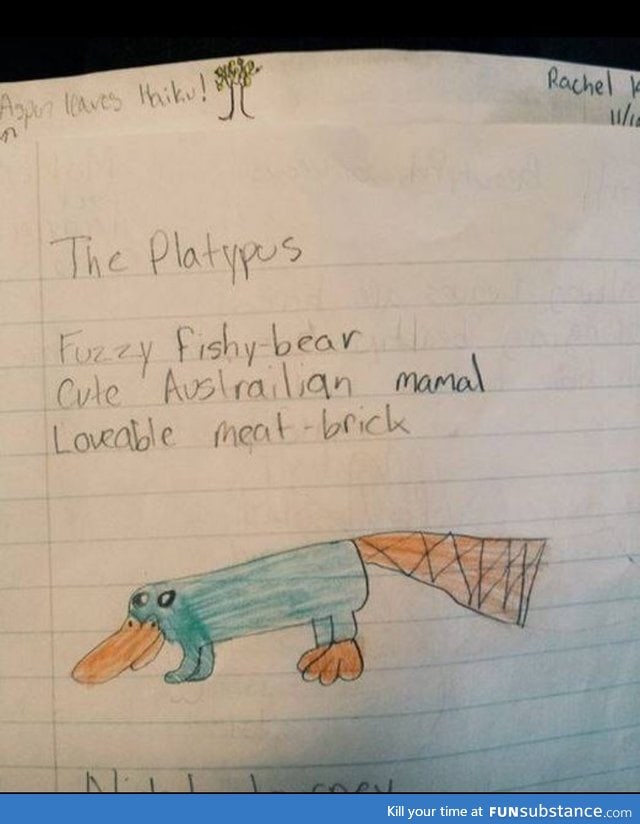 Caring block of platypus