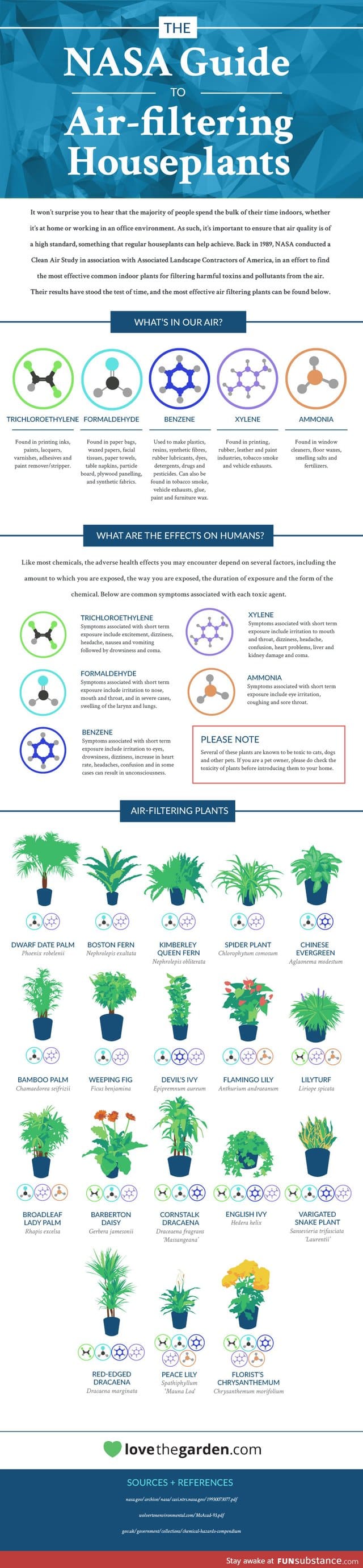 NASA: These 18 Houseplants Help Purify Your Home's Air