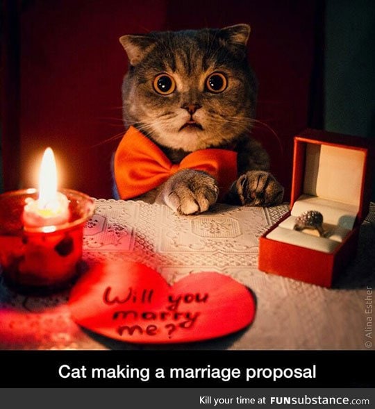 I'd say yes in a heartbeat