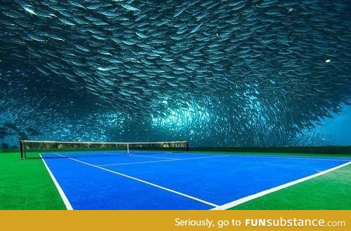 First underwater stadium, Dubai