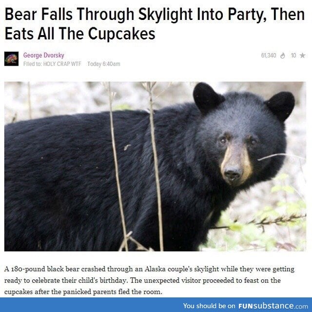 Bear really knows how to party