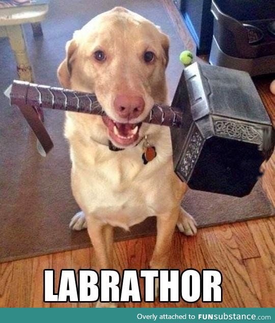 Thor's pet