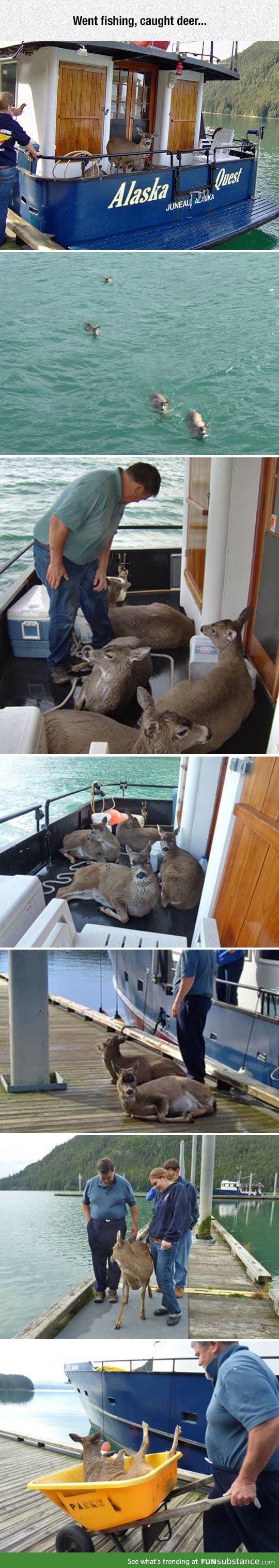 Went fishing but caught deer instead