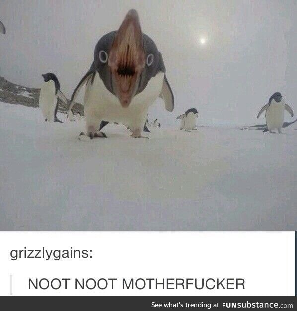 *noots internally*