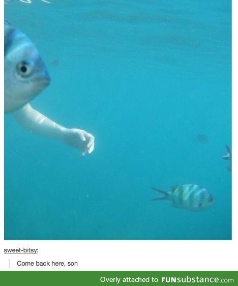 Finding nemo