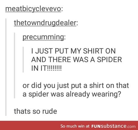 Spiders