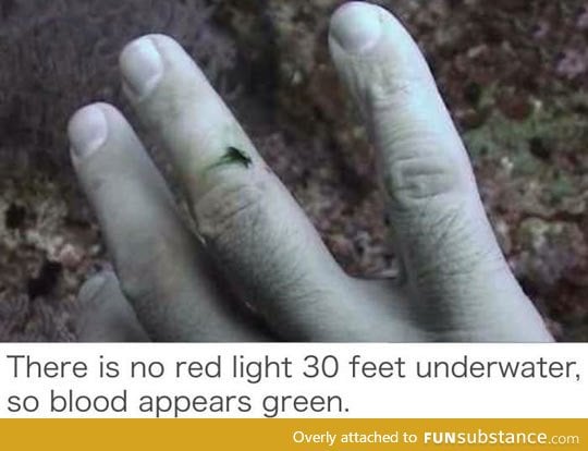 Blood appears green deep underwater