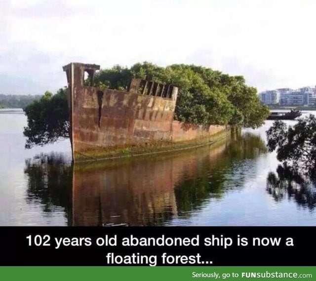 A mini island made from a 102 years old abandoned ship