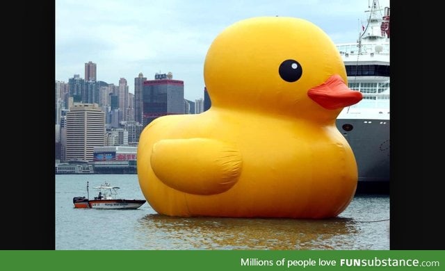 Don't search big duck into google