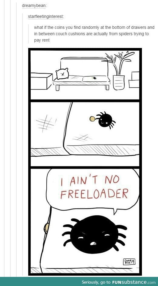 Spiders do care