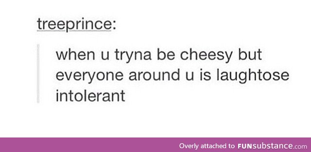 cheese