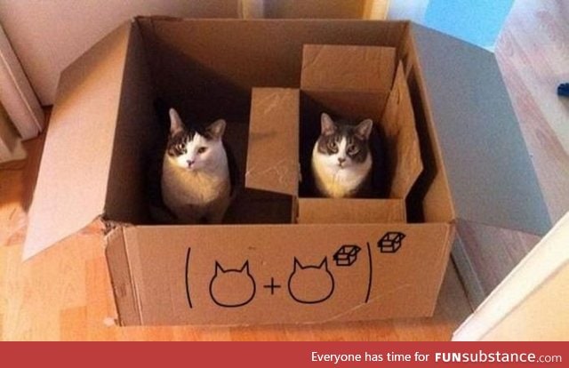 Cat math