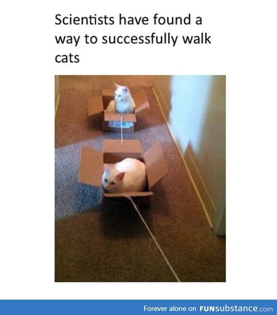 Science, finally finding a way to walk cats