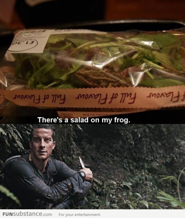 There's salad on my frog