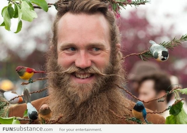 This guy has a beard forest