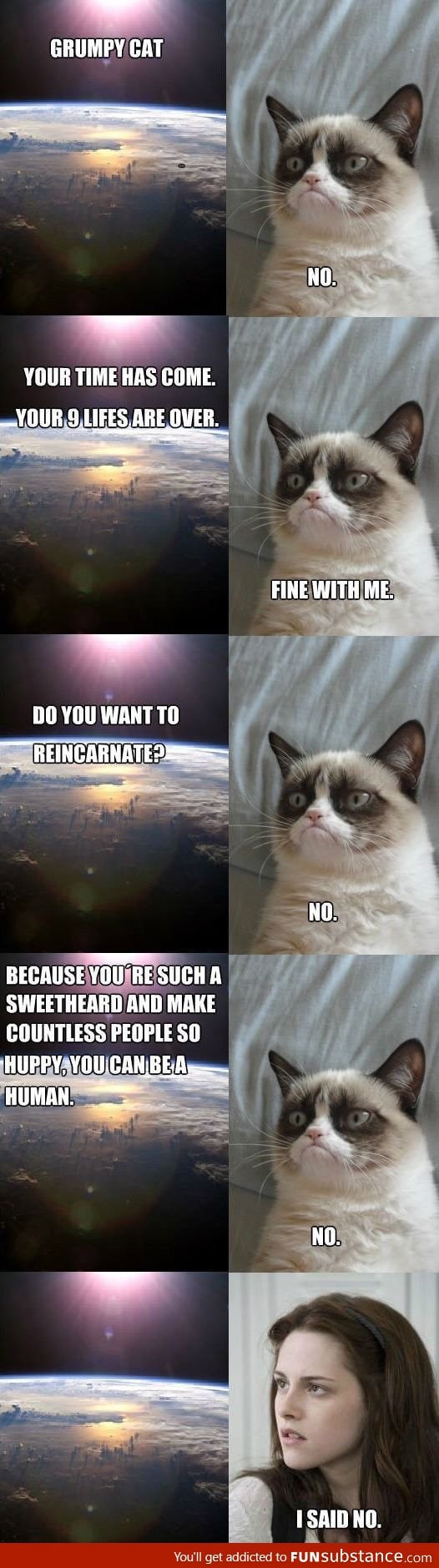 Grumpy cat reincarnated