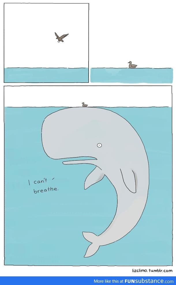 Whale Problems