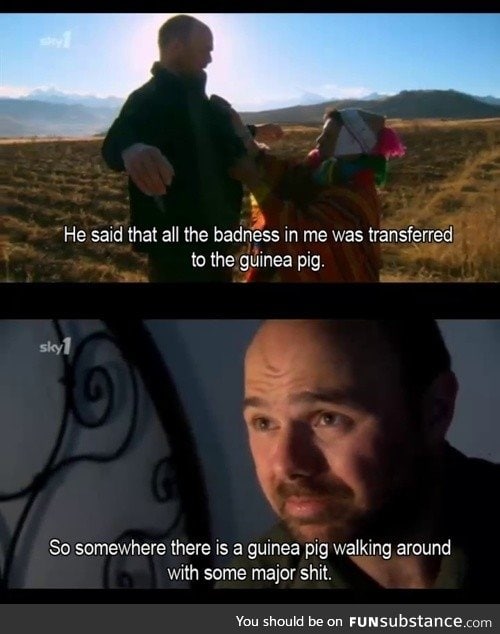 Karl Pilkington on Guinea Pigs