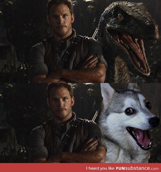 Jurassic bark