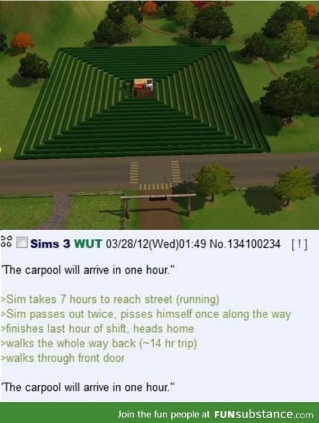 Sims play