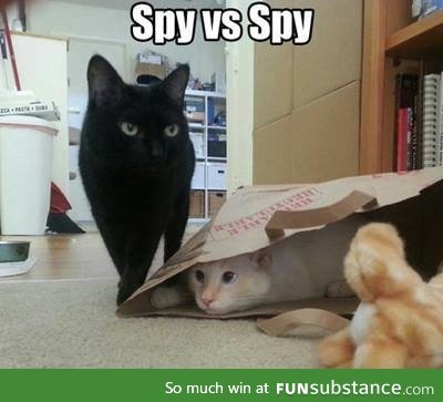 spies