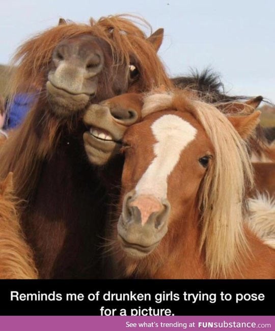 Drunk girls posing for a picture