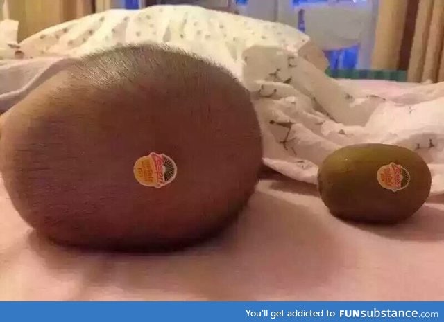 Kiwi for scale