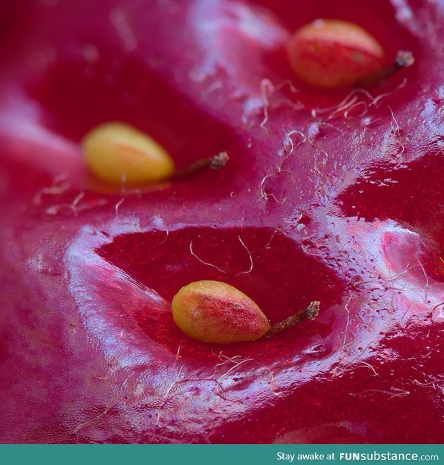 Super closeup of a strawberry