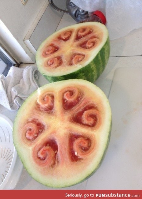 Unripened Watermelon 21st Century