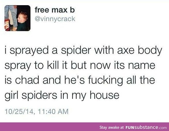 Spiders