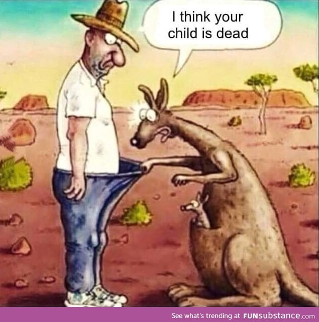 Sad kangaroo