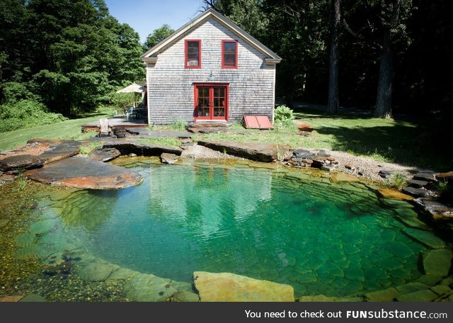 Natural stone organic pool