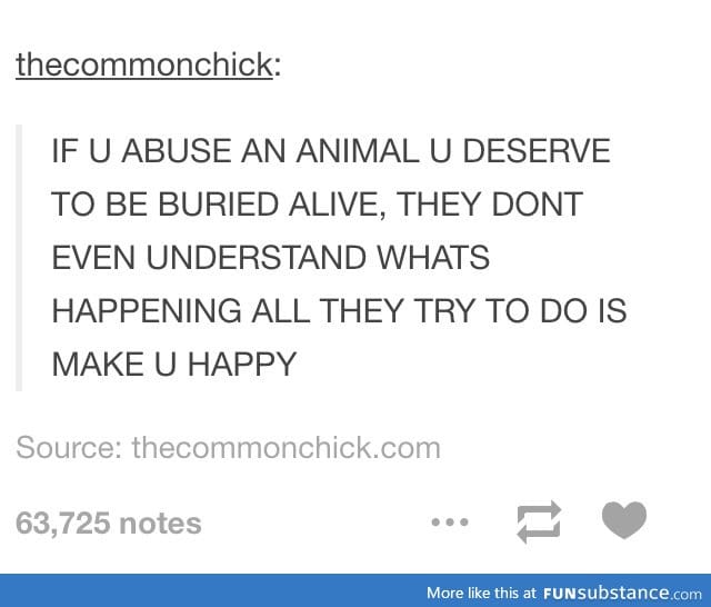 Don't ever ever ever abuse animals