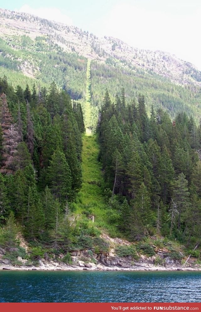 U.S. - canada border