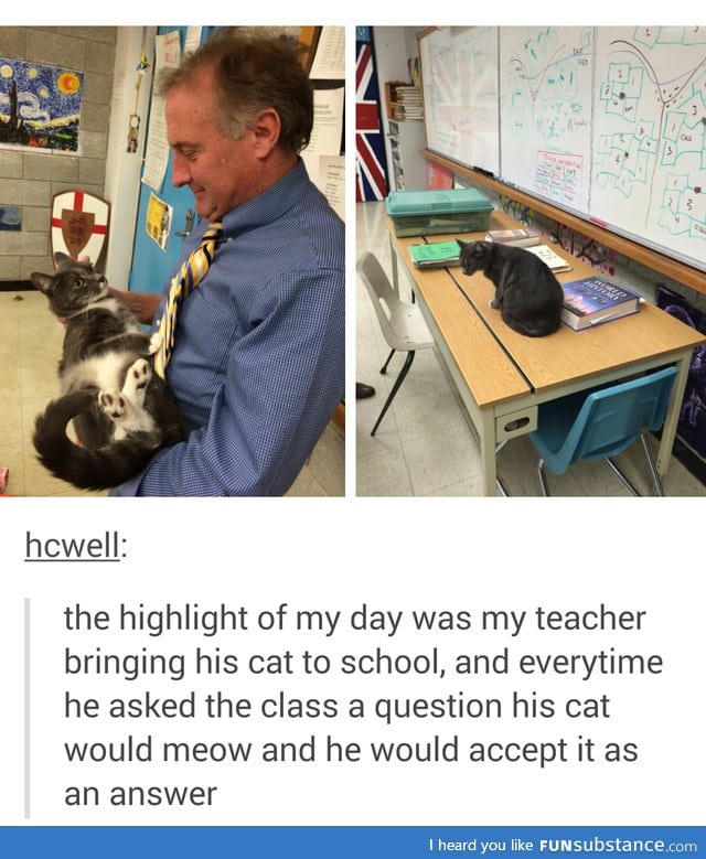 Purrrrrfect teacher