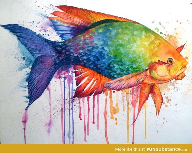 Rainbow fish