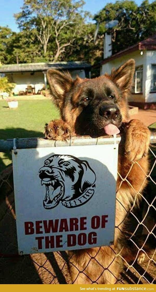 Beware of dog!