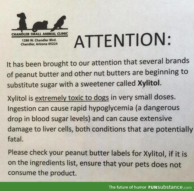 Attention dog owners