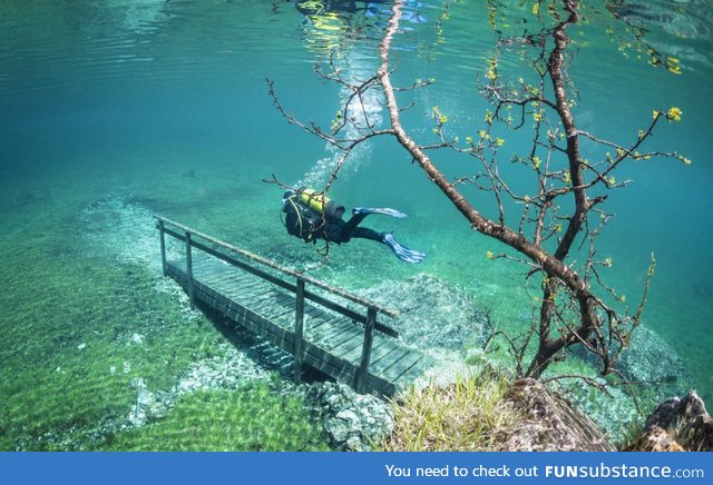 Underwater meadow