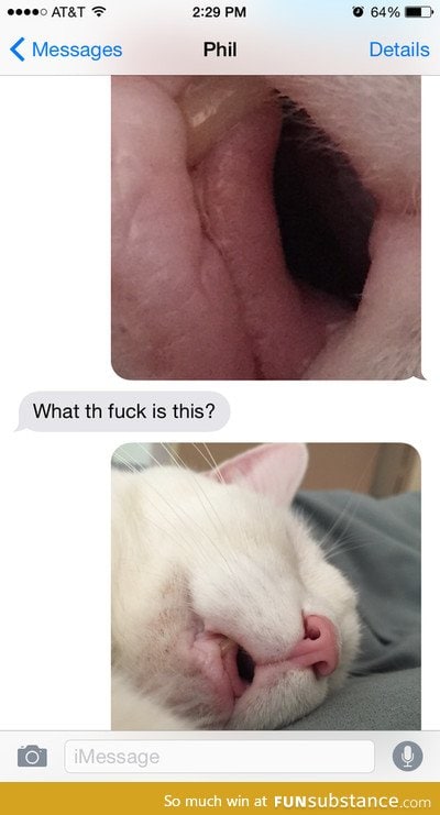 Sending weirdly cropped photos