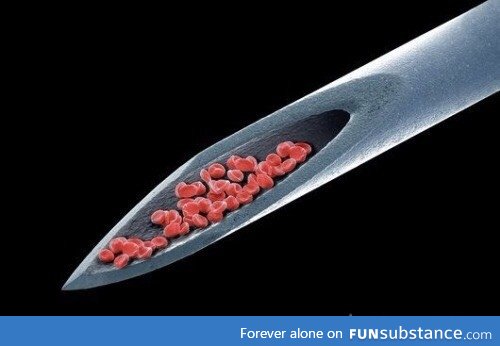 Blood cells on a syringe viewed via an Electron Microscope