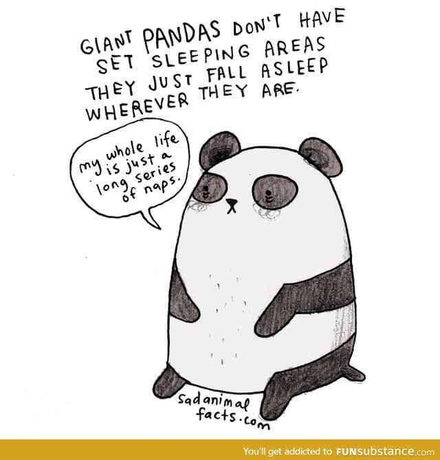 I am a panda