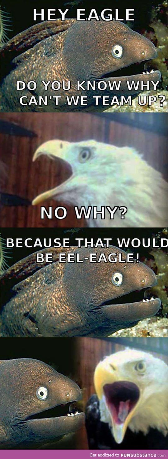 Why can't eels and eagles team up?