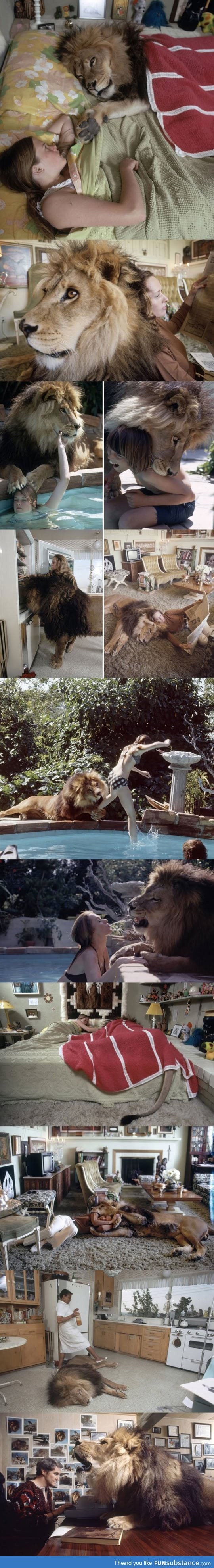 This family has a lion as a pet