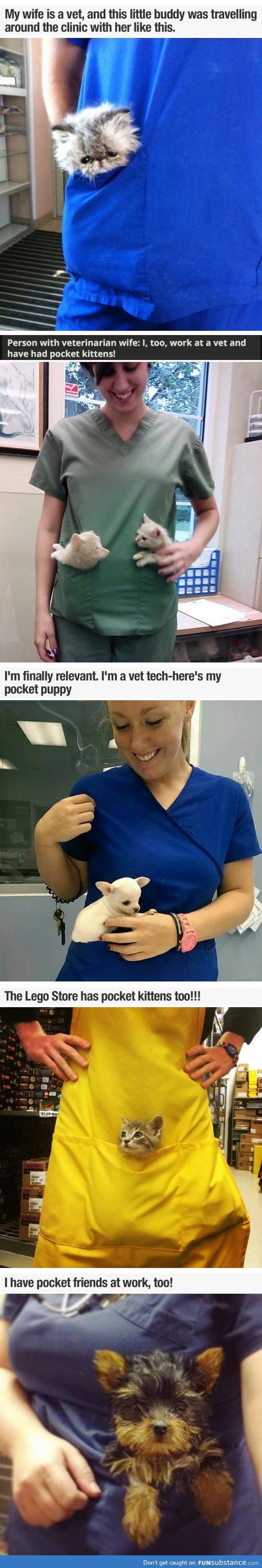 Pocket pets!