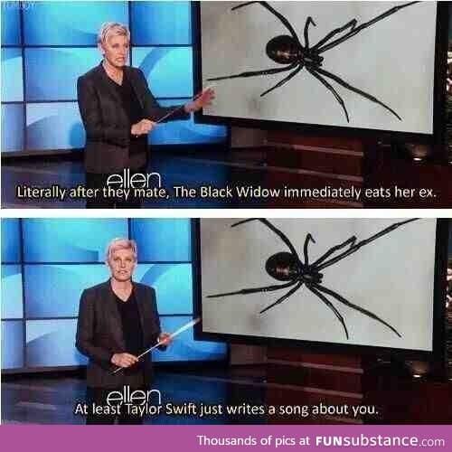 Oh Ellen.