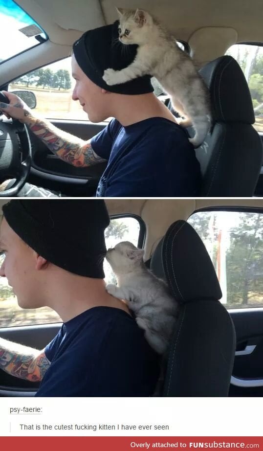 he's the navigator