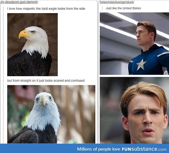 Captain America is a bald eagle pass it on