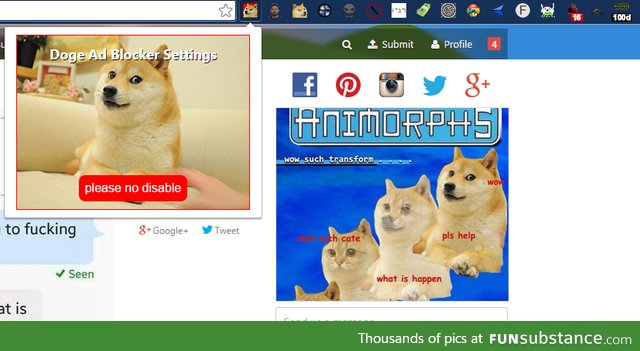 Its called doge adblocker and it changes all ads to doge ads. In the Chromestore