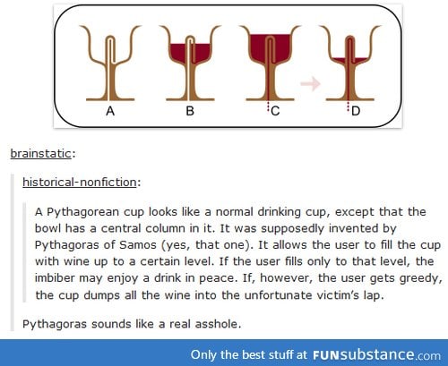 Pythagorean Cup